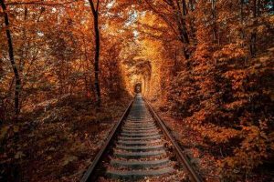 treno del foliage percorso