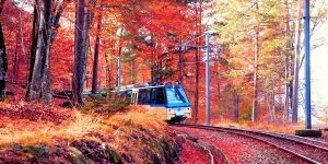 treno del foliage